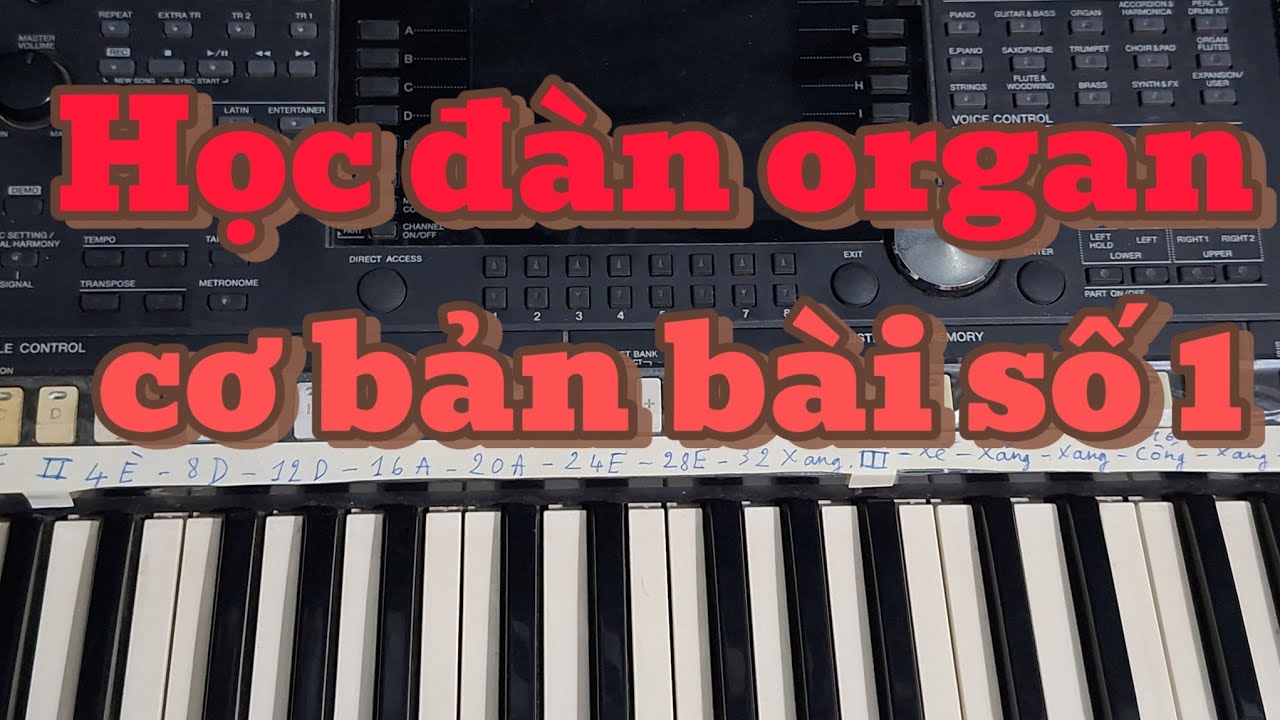🎹 Dạy Đàn Organ Cơ Bản Bài 1 – Học Nhanh Cho Người Mới Bắt Đầu