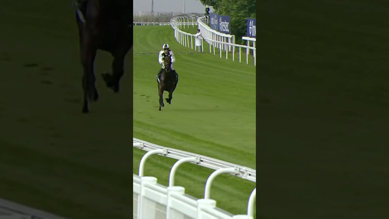 Jockey falls off horse at 40mph #horse #horseracing #racingtv #sport #britishhorseracing
