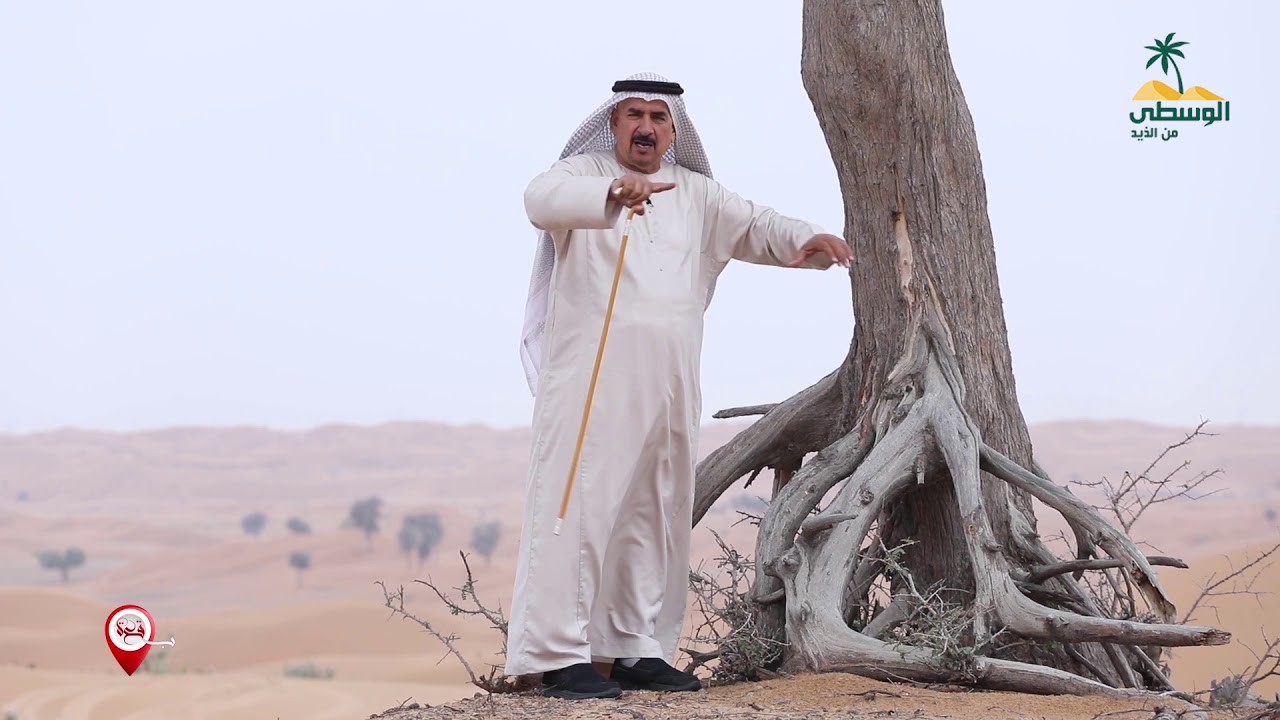بقعة - عود الزيانة