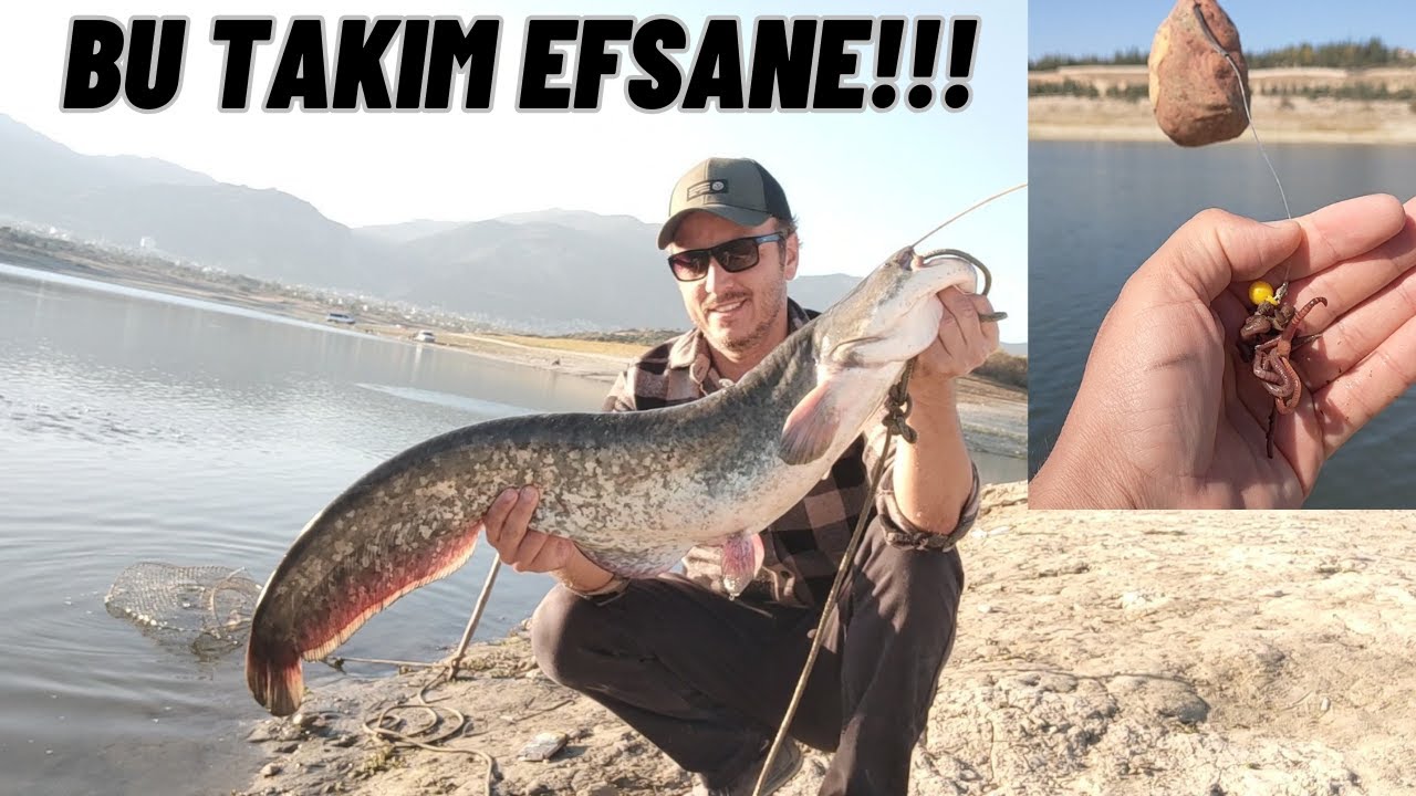 22 EKİM BALIK AVI//BU Avda Da Boş Geçmedik.#fishing #fish #balık #catfish
