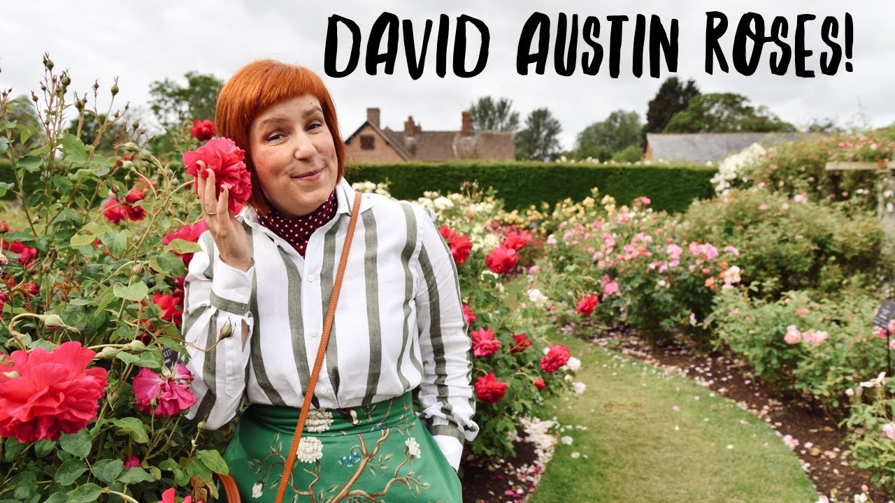 This is ENGLAND'S MOST BEAUTIFUL ROSE GARDEN