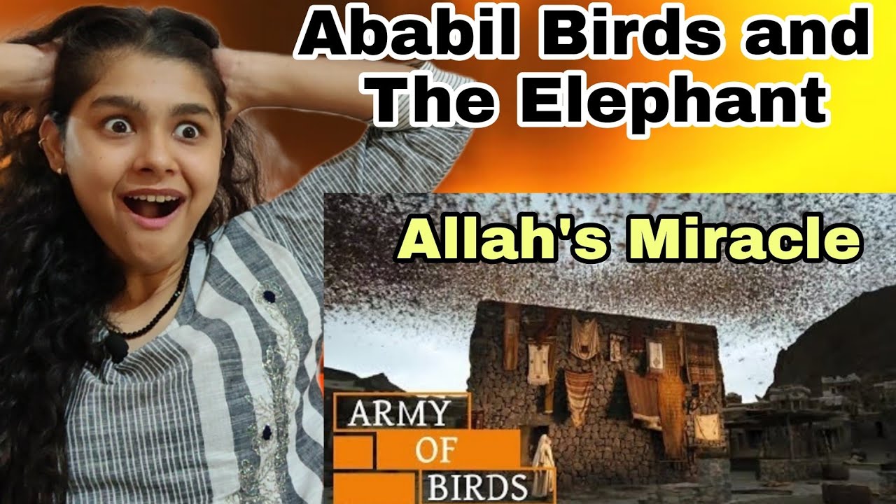 When Birds Defend KAABA (House of GOD) || Story of Ababil Birds and The Elephant | Indian Reaction