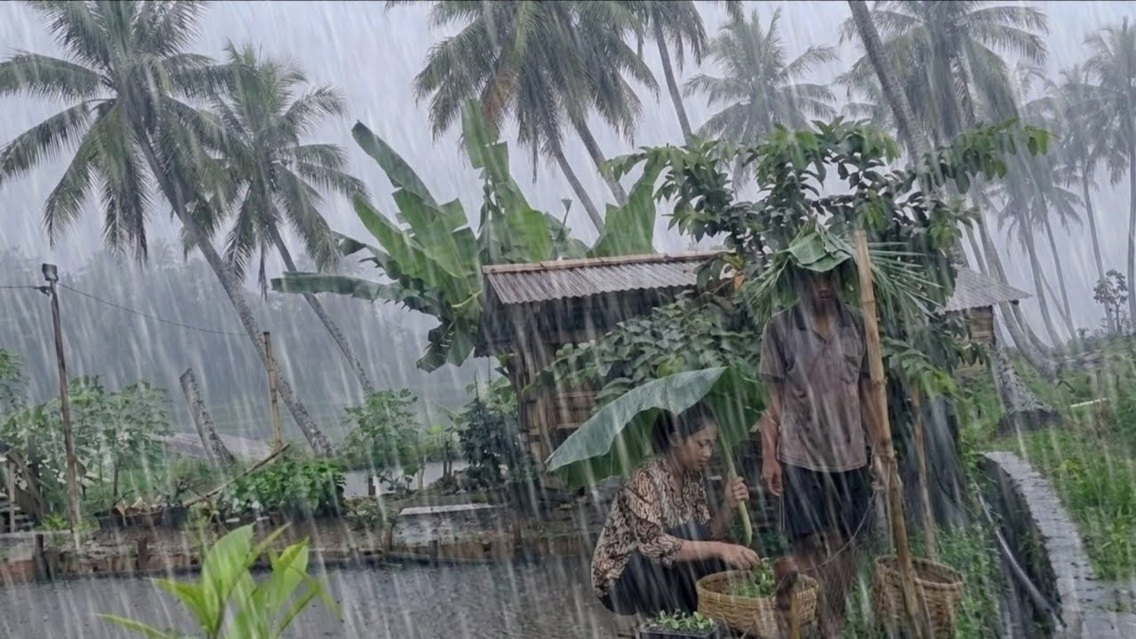 IT'S AMAZING‼️WALKING IN HEAVY RAIN IN THE HILLY RURAL PARADISE OF INDONESIA 