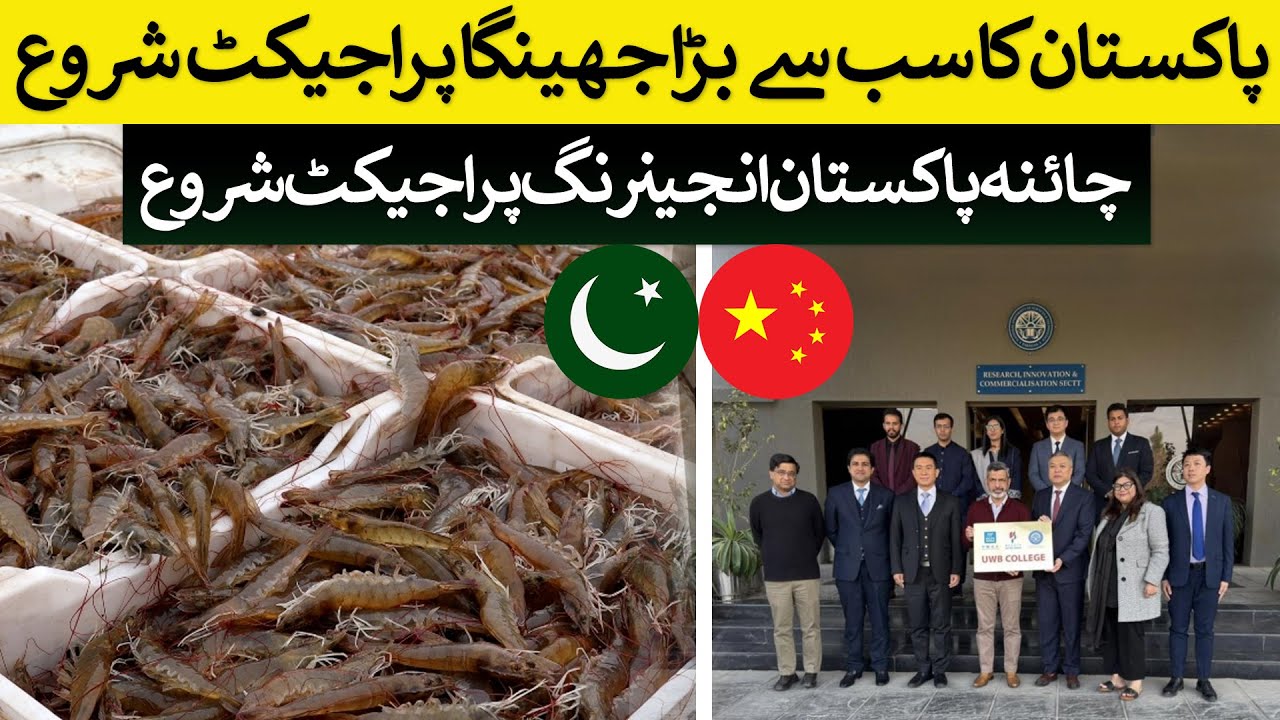 Pakistan&rsquo;s Largest Shrimp Project Begins | New China-Pakistan Engineering Project Launched