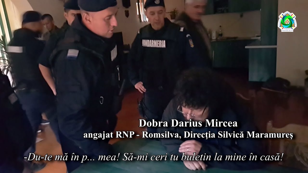 Efectul Frank: neamuri, păduri, profituri
