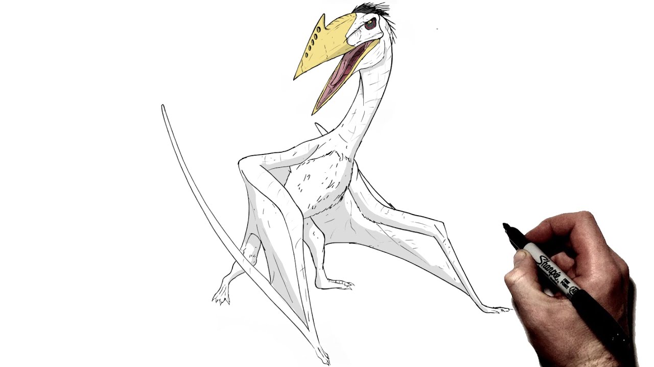 How To Draw Quetzalcoatlus | Step By Step | Jurassic World Rebirth