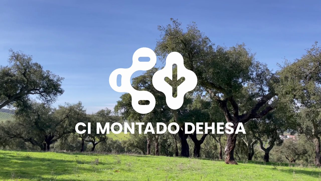 Vídeo de Apresentação | CI Montado-Dehesa