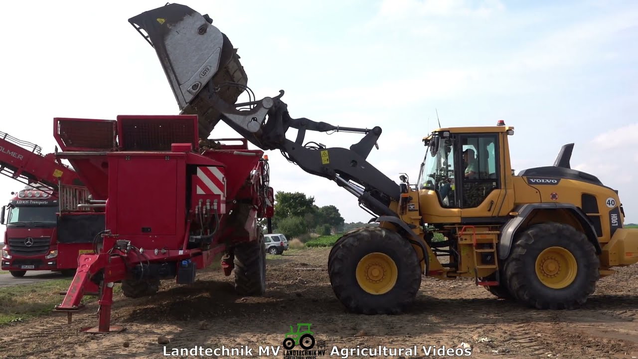 Volvo - Holmer - Mercedes / Rübenverladung - Loading Beets  2021