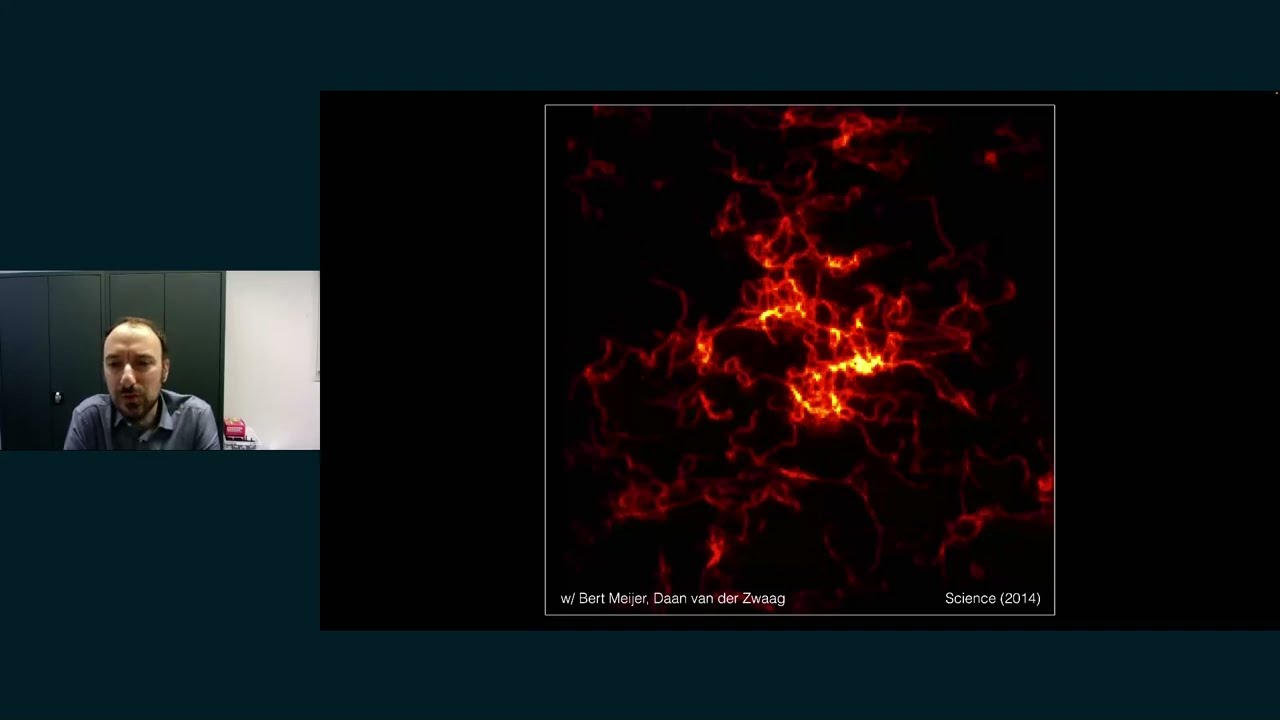 A Super-Resolved View of Nanomolecules