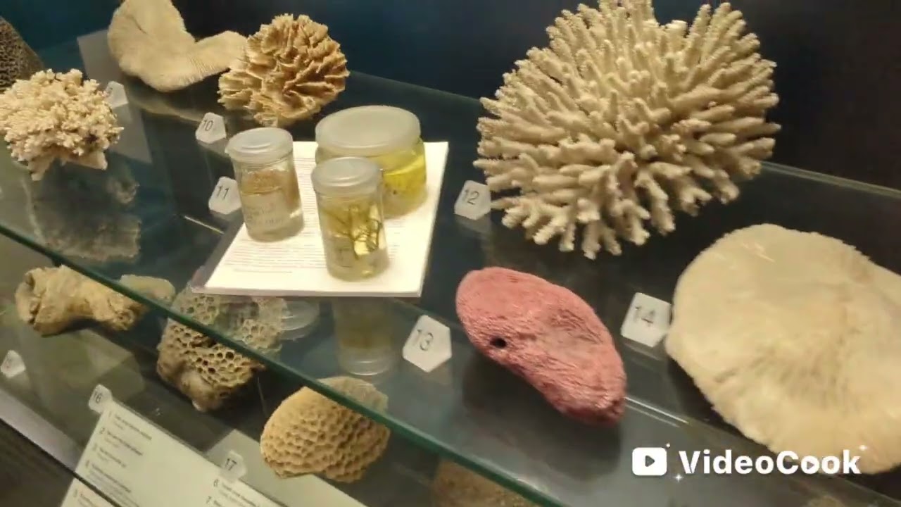 A trip to the uster museum in Belfast 