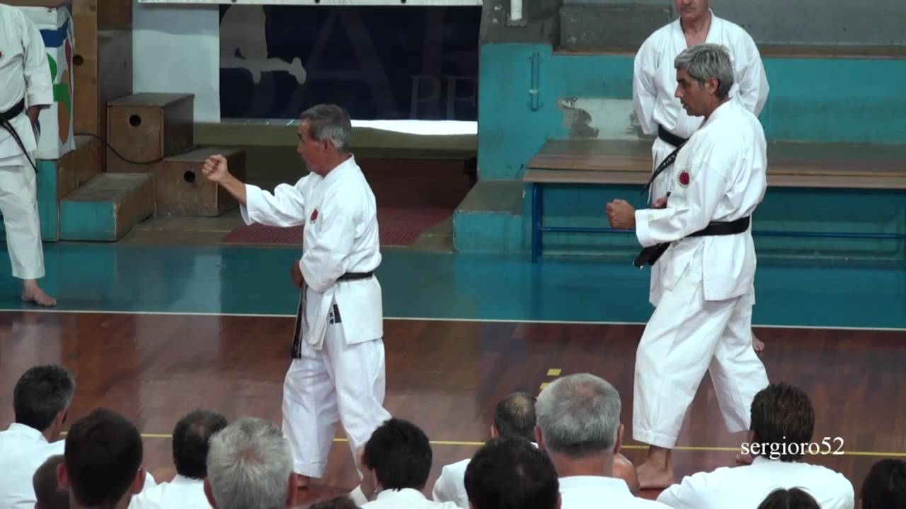 Stage di Karate S.K.I.I.- 2010-Miura Sensei-part 7 of 8 (HD)