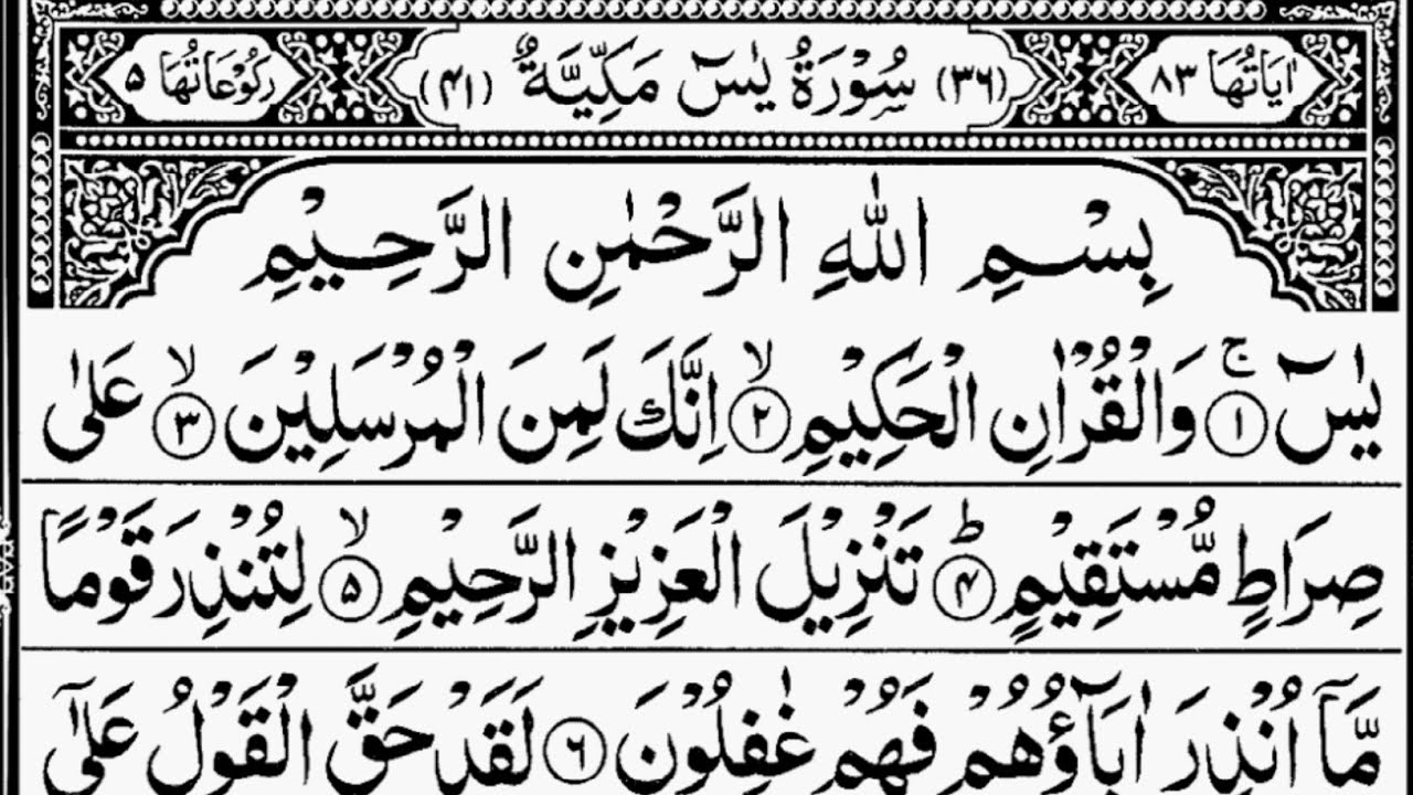 Surah Yaseen Heart Touching Tilawat | Surah Ar-Rahman & Surah Mulk, Ayatul Kursi Vol.806