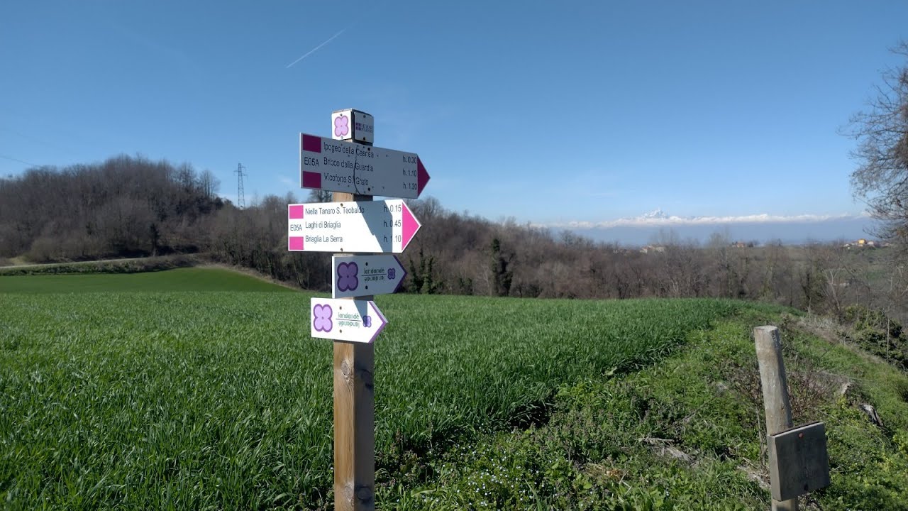 LANDANDE' petalo VIOLA & BLU