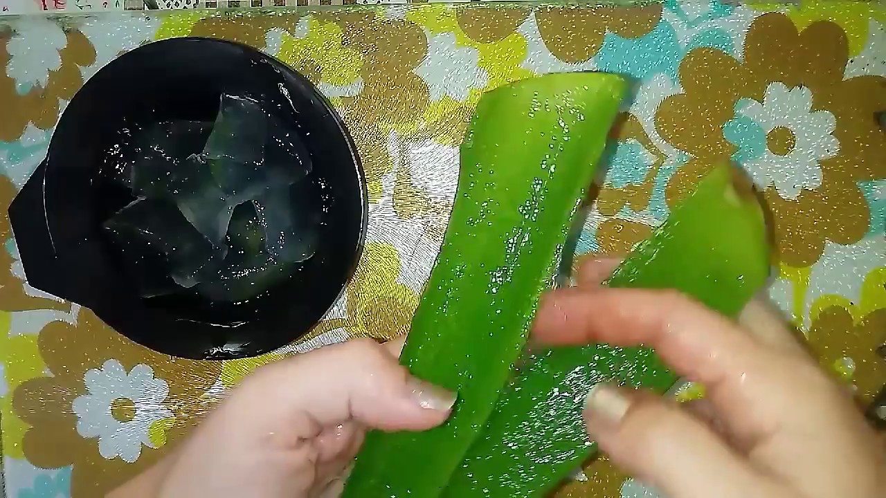 Babosa (Aloe Vera) + Azeite de Oliva - Hidratação Caseira