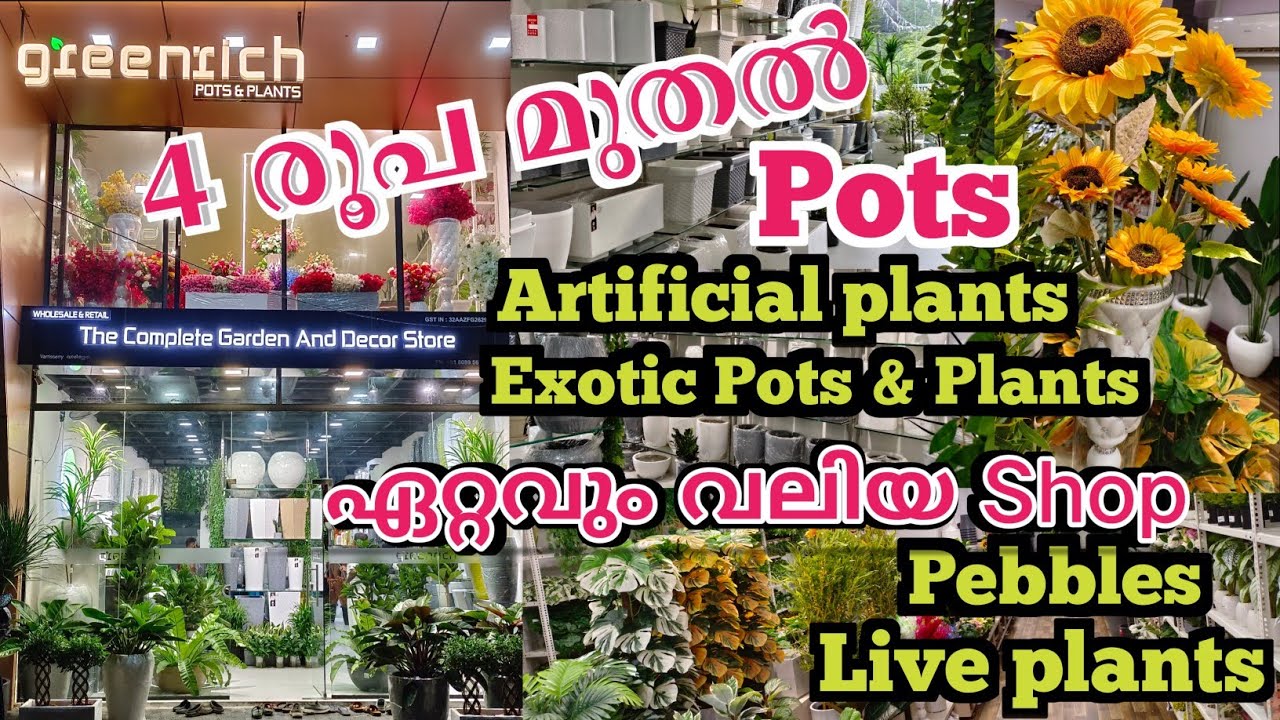 നാല് രൂപ മുതൽ ചെടിച്ചട്ടികൾ/ Artificial plants and exotic plants/exotic pot shop/Wholesale