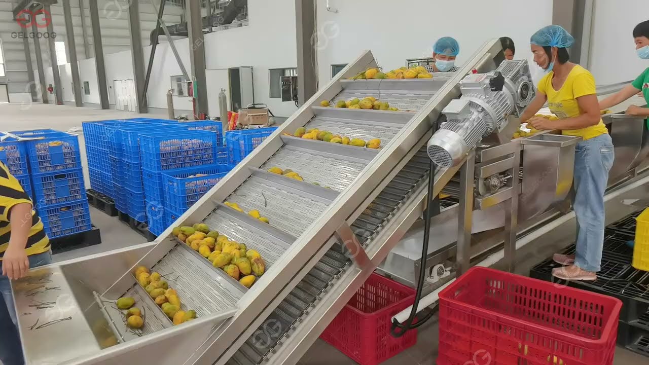 Mango Puree Processing Line