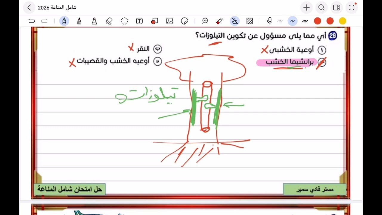 حل شامل المناعة 2026