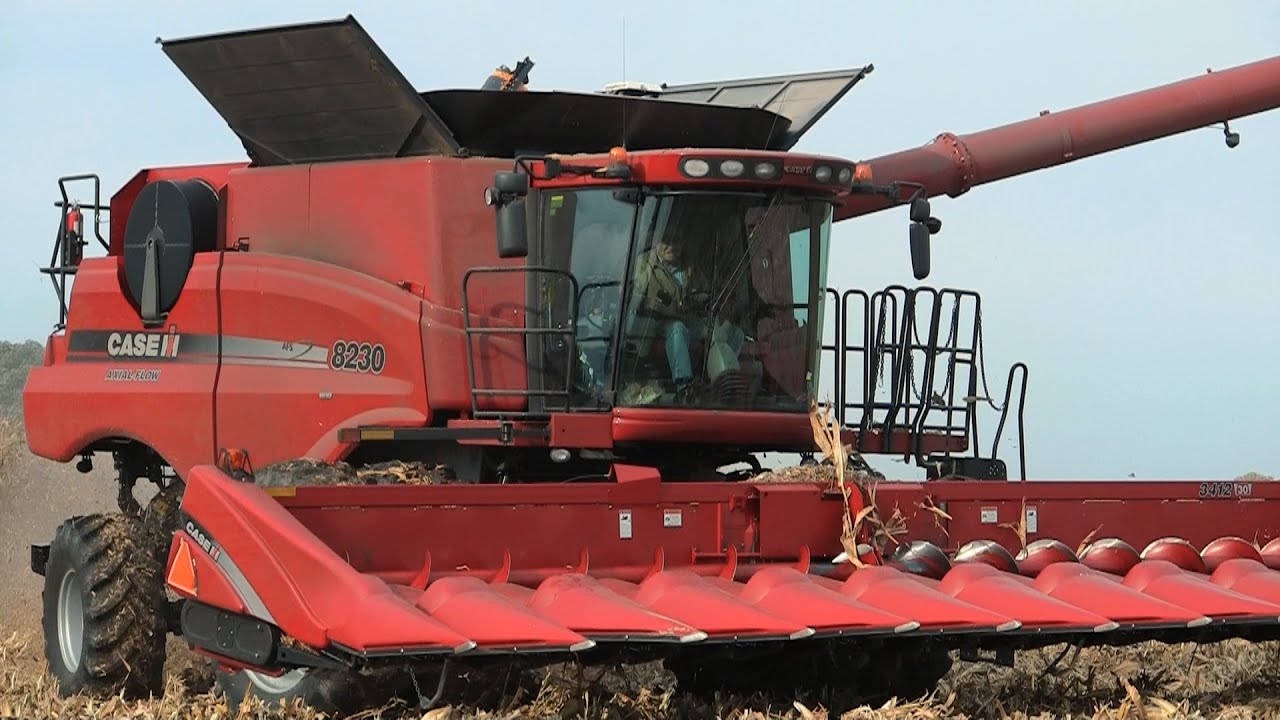 Hartmann Grain Farms - Case IH 8230 Combine on 10-20-2013