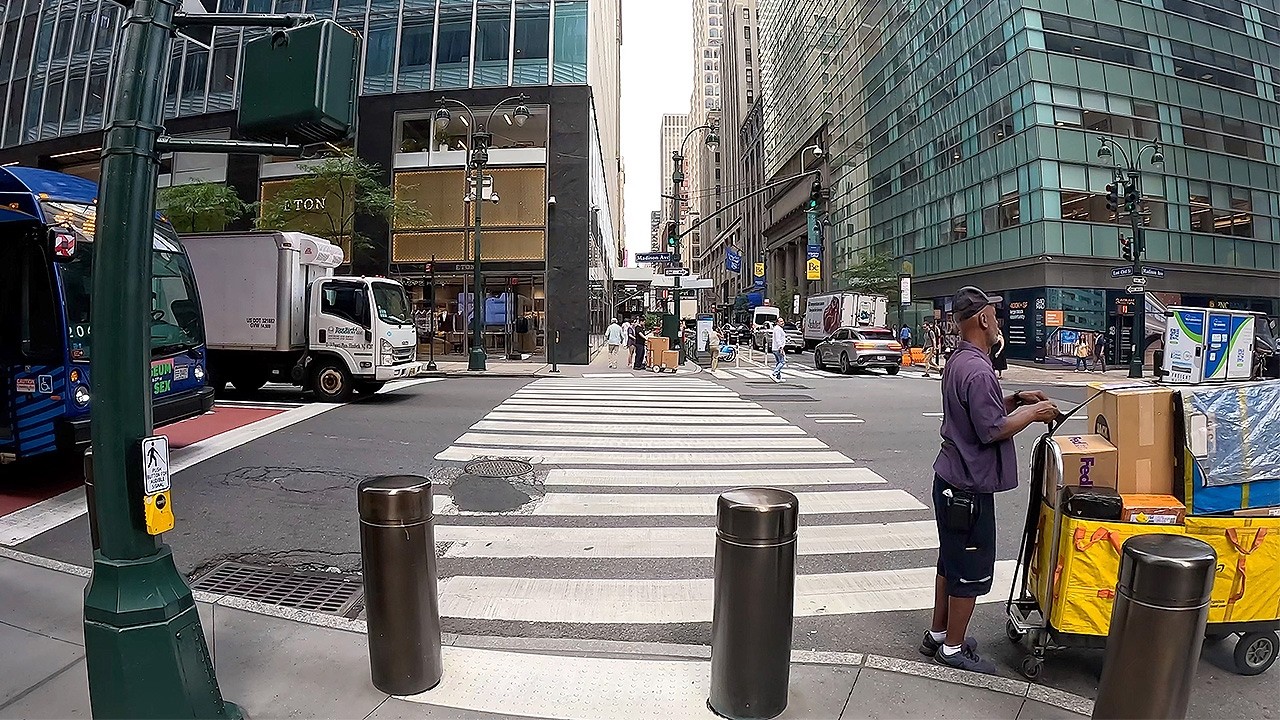 Dia de Tour em NY, Maestro J&uacute;nior no Central Park, Manuten&ccedil;&otilde;es do Subaru e &Aacute;rvore Caiu no Fio