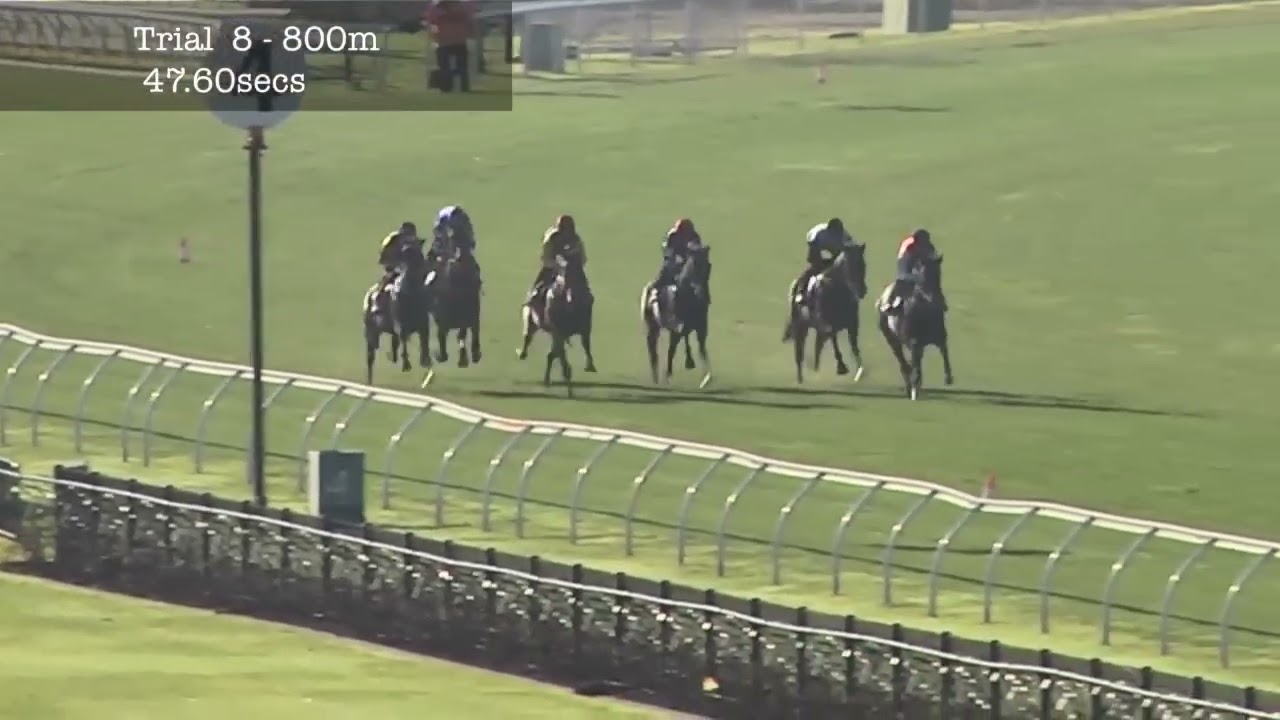 Flemington Jumpouts | 15 August 2014 | Heat 8
