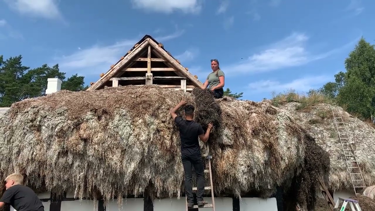 Tanghusprojektet på Læsø - Hedvigs Hus 2024