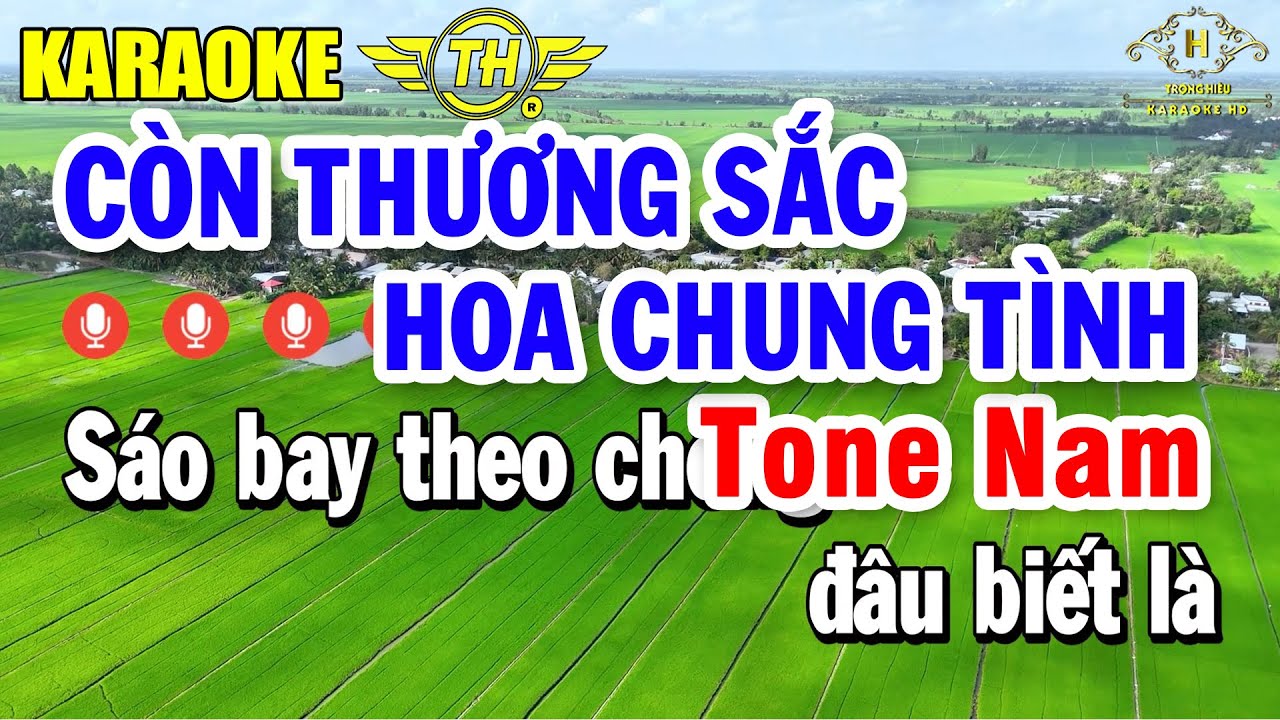 Còn Thương Sắc Hoa Chung Tình Karaoke Tone Nam ( Dm ) Nhạc Sống Dễ Hát | Trọng Hiếu