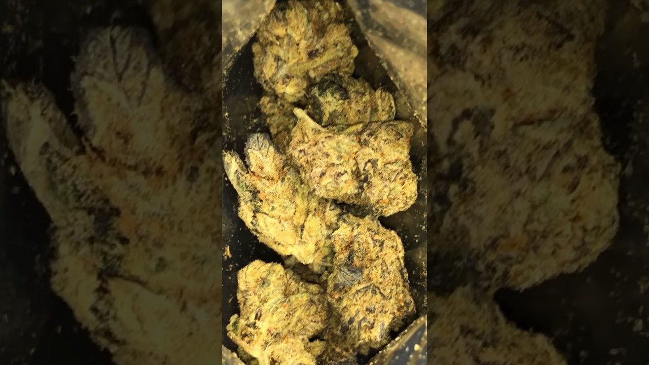 🍇Grape Frost❄️