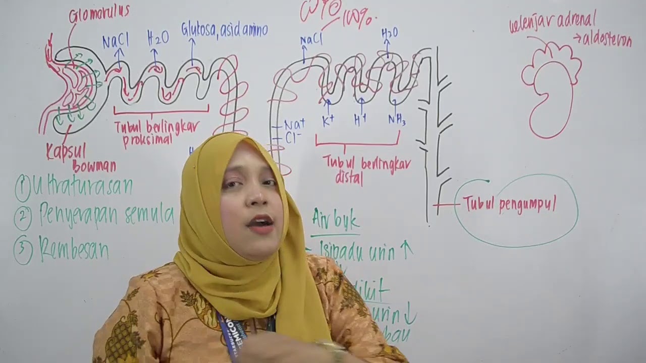 PTTI BIO SPM : Koordinasi dan Gerak Balas