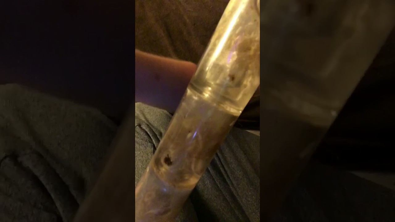 Wake and bake bong rip (Close Up)