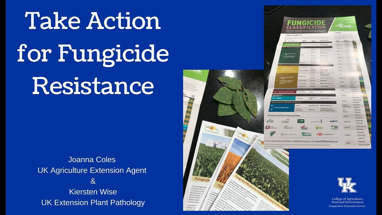 Take Action for Fungicide Resistance