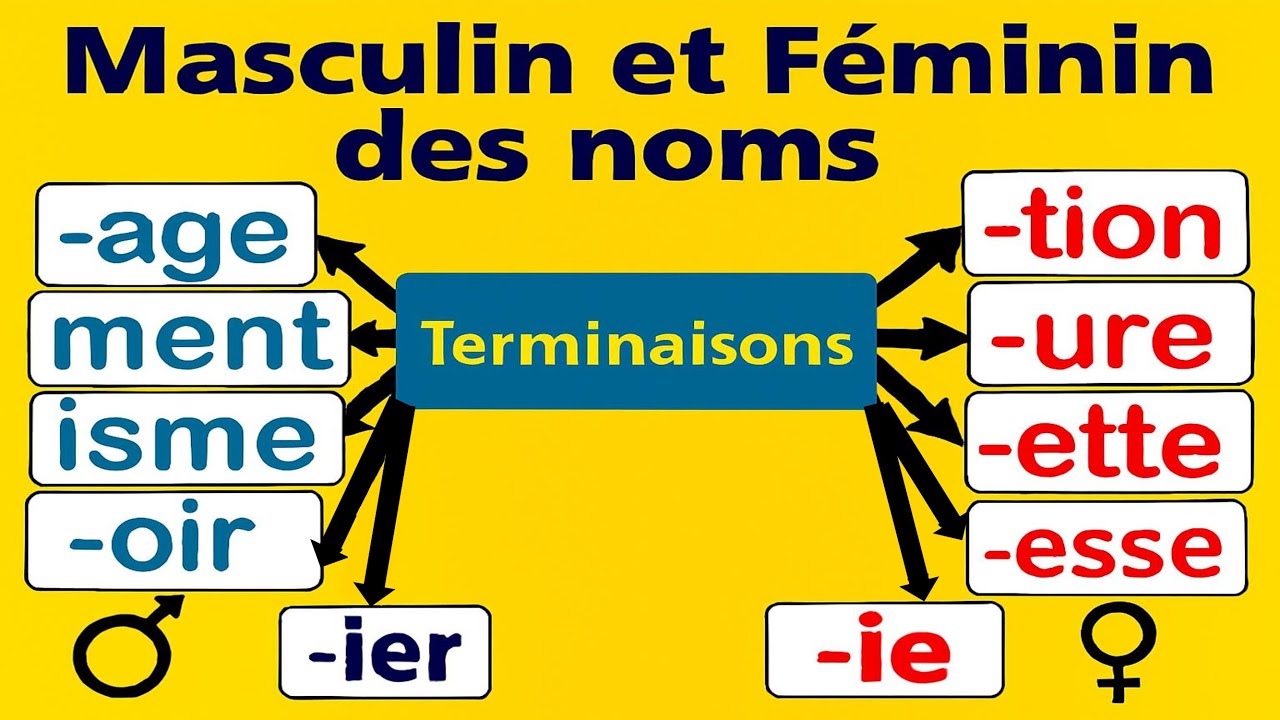 Существительные мужского и женского рода — полный и простой для понимания урок!