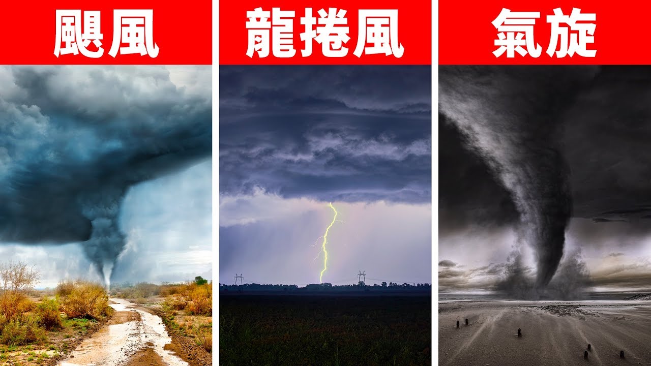颶風、龍捲風、氣旋等等這些到底有什麼差別呀