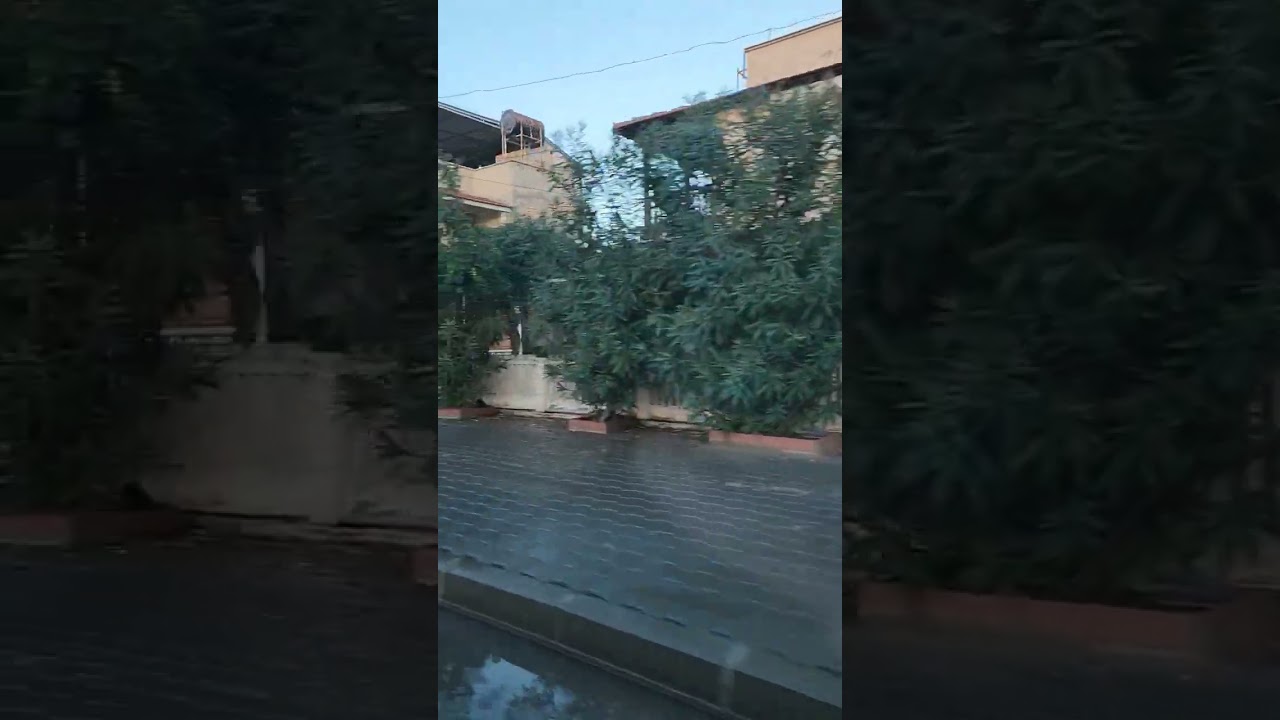 Dikili city, T&uuml;rkiye, November 2023. #shortsvideo #короткое_видео #dikili #turkey #турция