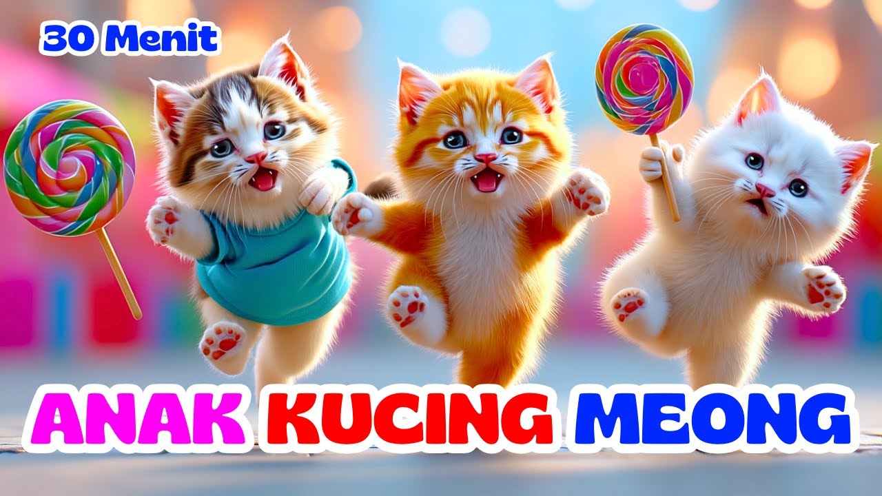 Anak Kucing Meong Meong - Lagu Anak Indonesia Populer - Si Meong Kucing Lucu 30 Menit