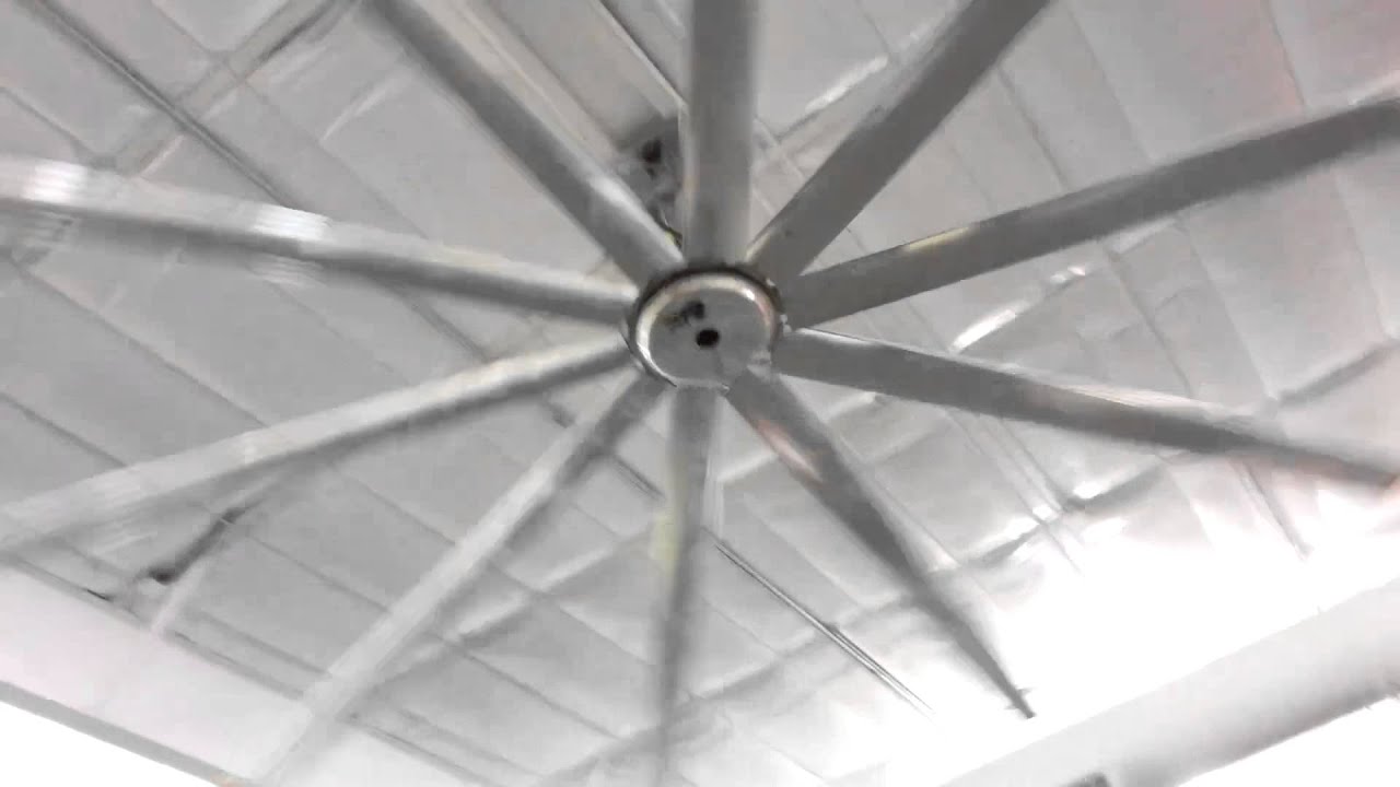 Big Ass Fan at the GYM (Biggest Fan I have ever seen)