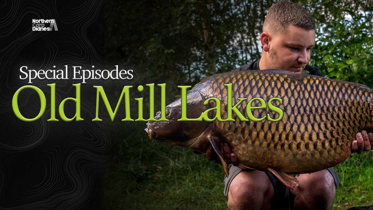 Northern Carp Diaries - Carp Fishing at Old Mill Lakes - 2020