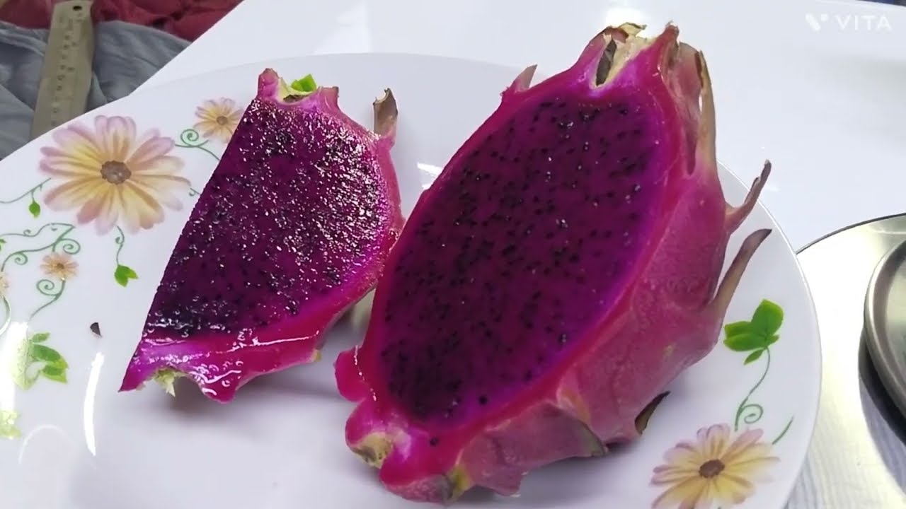 ESTA VARIEDAD ES UNO DE LOS MEJORES PARA HUERTEROS Y HUERTERAS