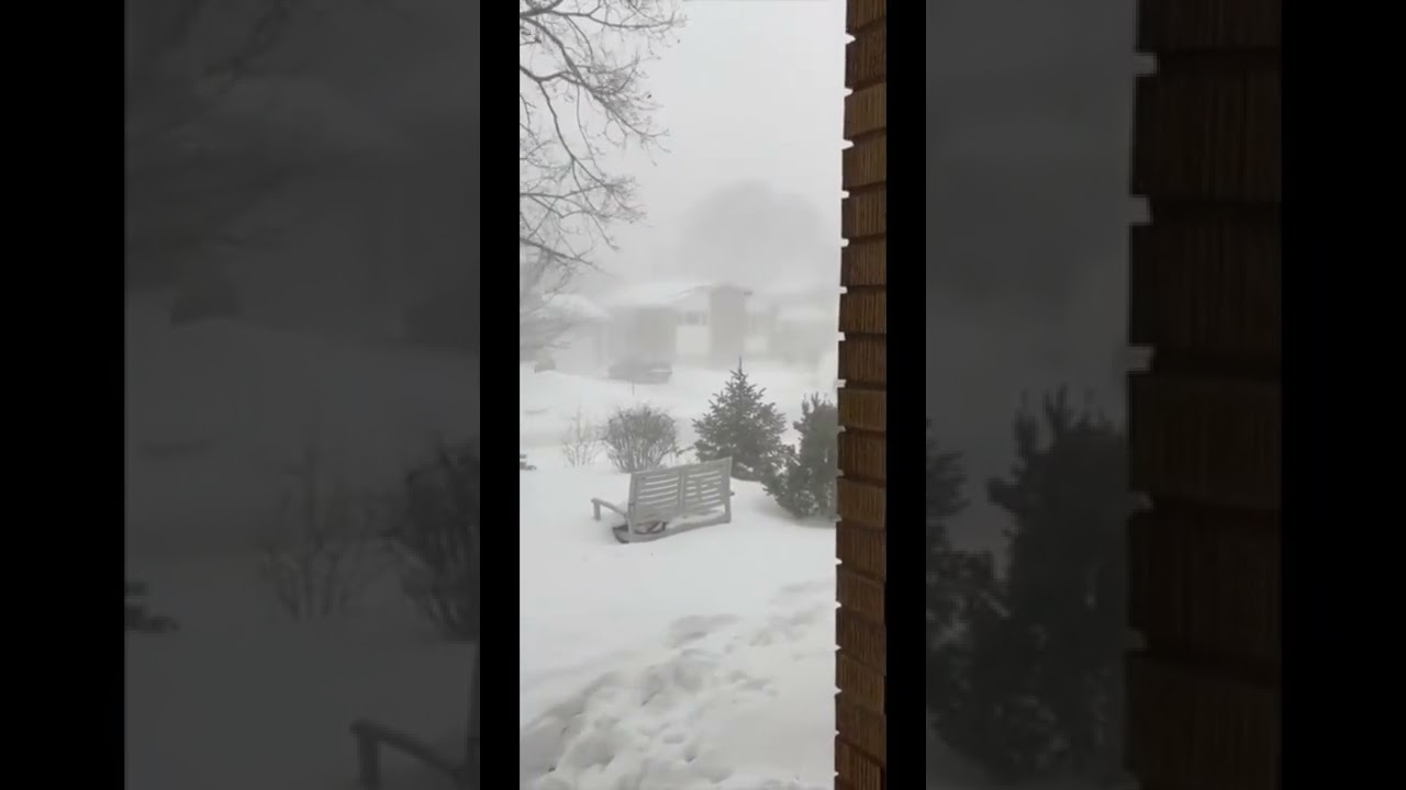 Snow Squall in Ottawa #shorts #asmr #freedom #winter #ottawa