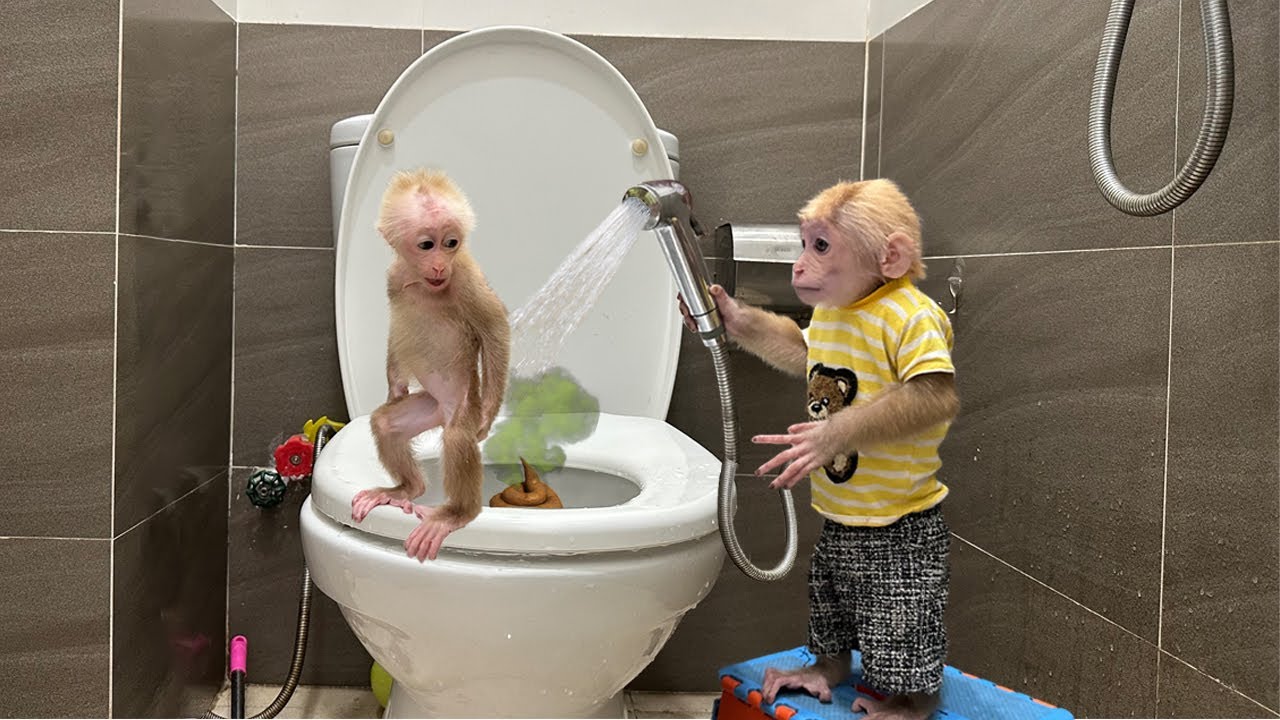 So sweet, Lucky helps baby monkey Sunny when she goes to toilet