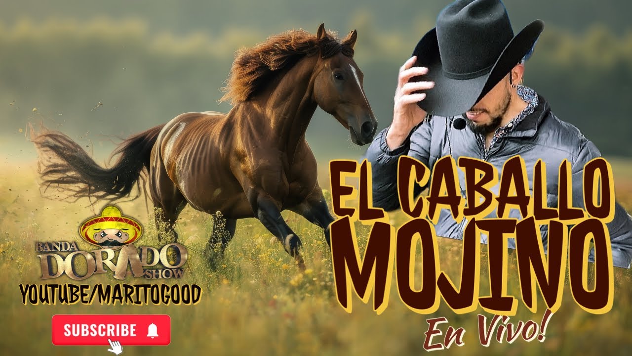 Banda Dorado Show - El Caballo Mojino