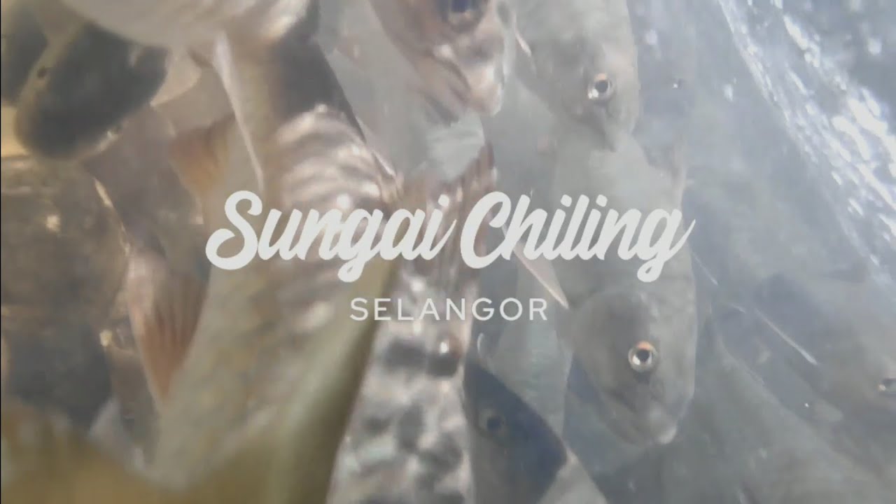 Sungai Chiling Kuala Kubu Bharu Selangor / So Hot - Black Pink