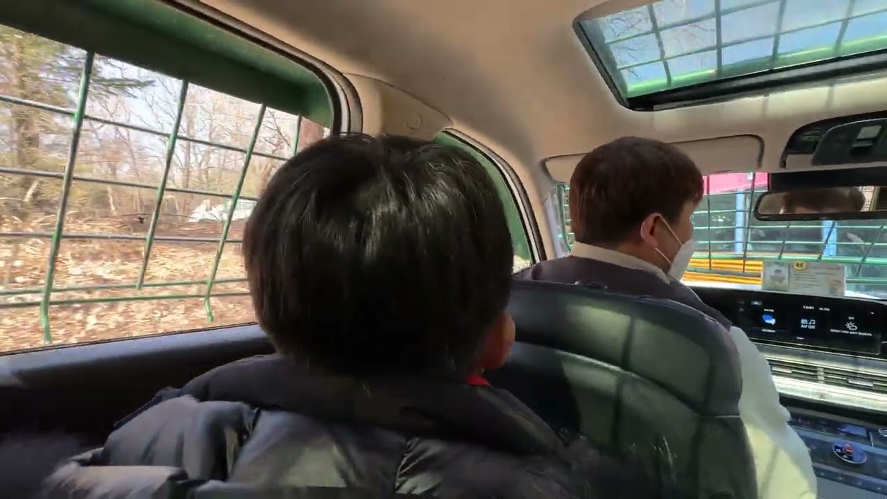 울산에서 용인에버랜드 사파리월드스페셜투어 ~