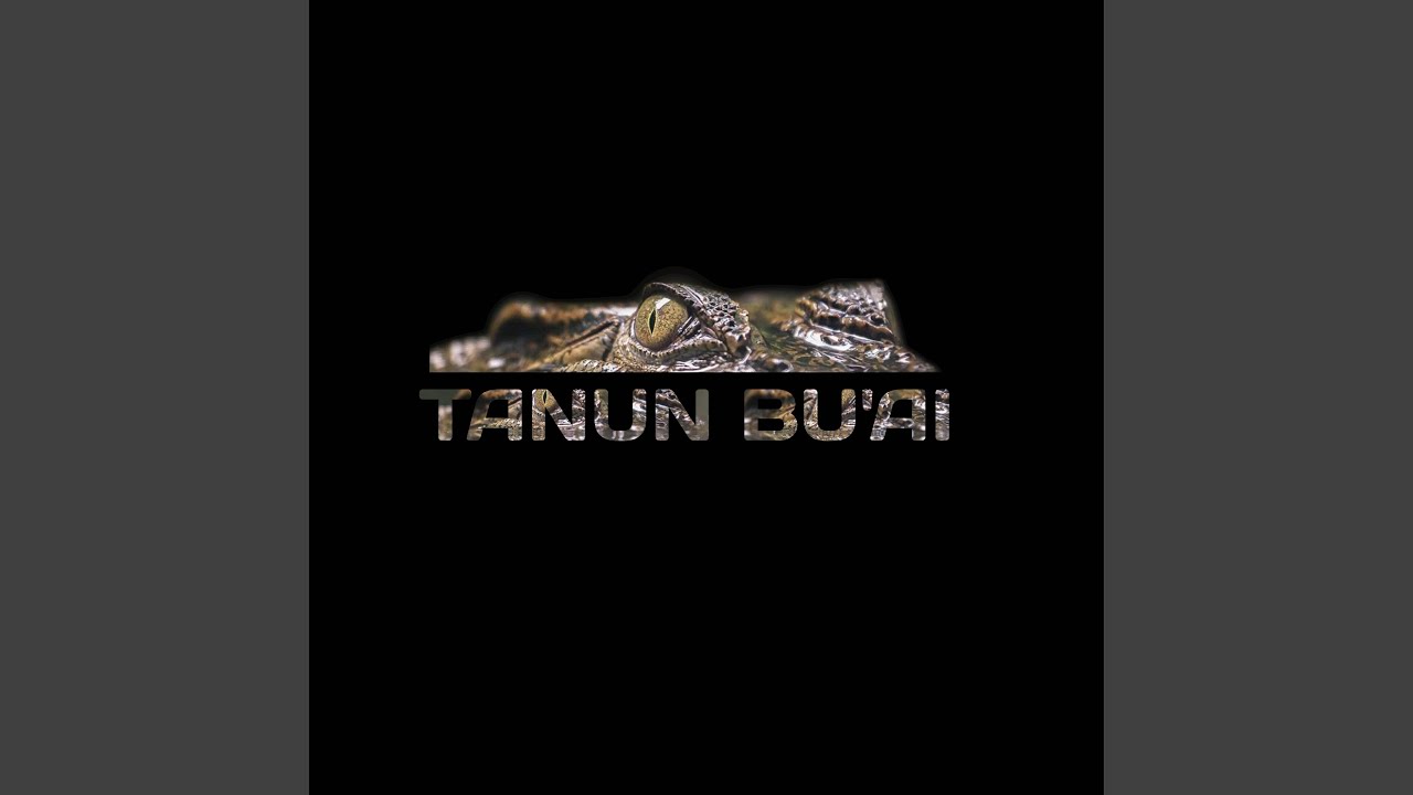 Ambai Diambi Pulai