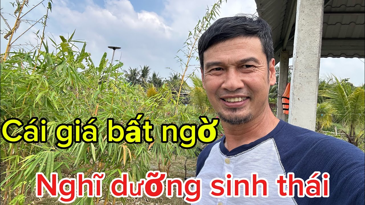 Bình Chánh - nhà vườn nghỉ dưỡng 17m#80m giảm giá 2.5 tỷ