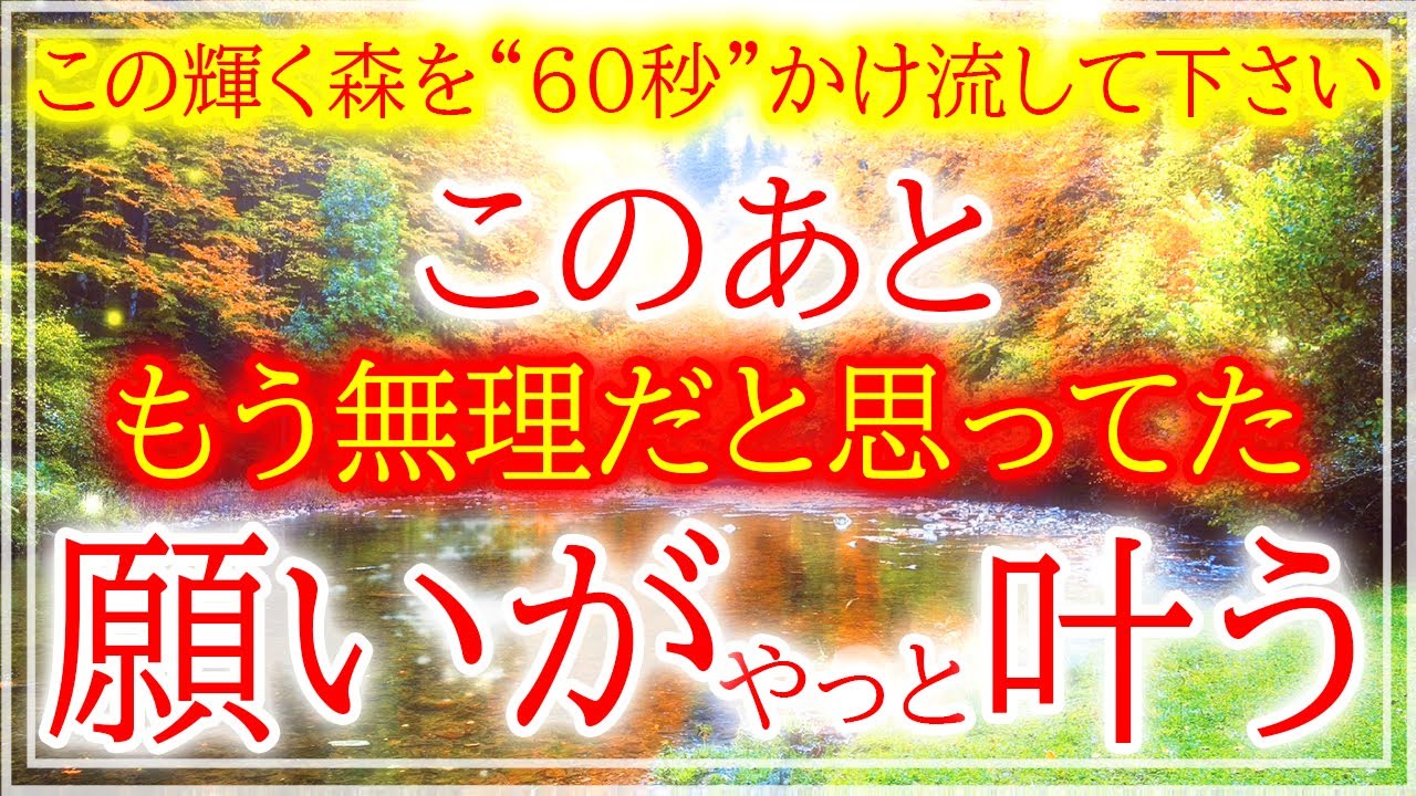 ※必ず『今日』ご覧下さい。願いが叶う特別な『浄化BGM』この浄化を聴くだけで人生が好転し願いが叶う音楽。再生した瞬間の超強力な浄化波動をお受け取り下さい。願いが叶う音楽 寝る前に聴く音楽 金運上昇