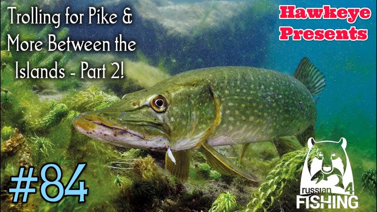 Russian Fishing 4 | #84 | Trolling for Pike & More between the Islands - Part 2!