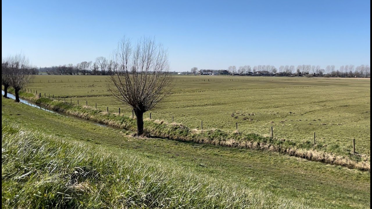 Uiterwaard Nederrijn