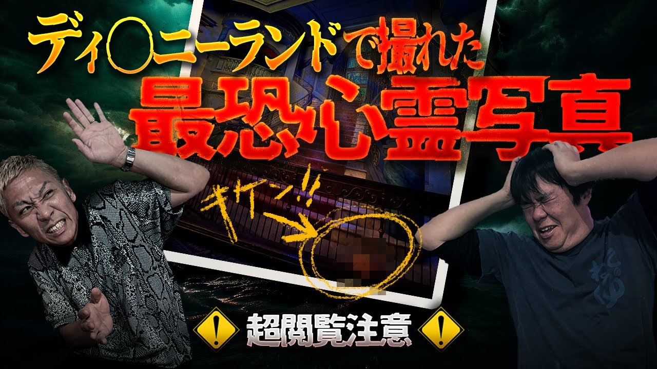 ⚠️閲覧注意⚠️あの夢の国で撮れてしまったハッキリ心霊写真…未練の表れなのか…【ナナフシギ】【怖い話】