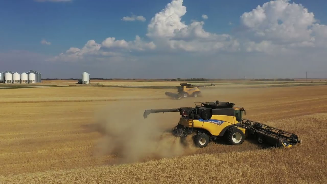 Harvesting the Home Quarter