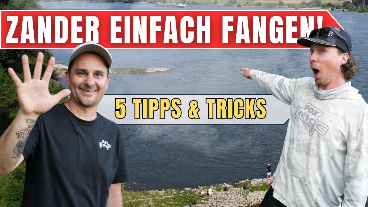 Einfach Zander angeln! So startest du Richtig!